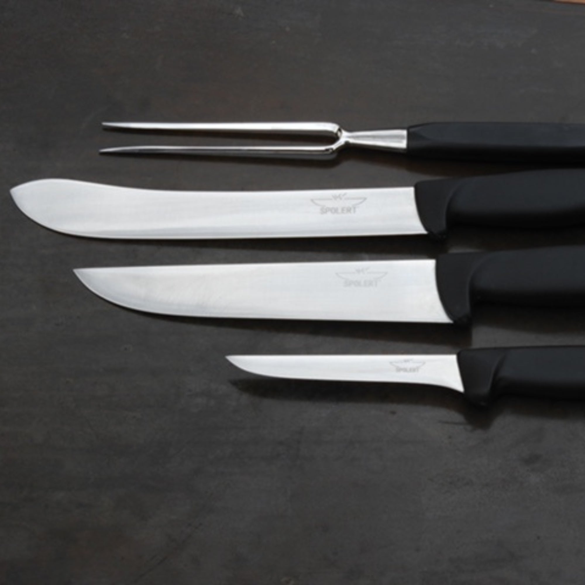 Set di coltelli Inox